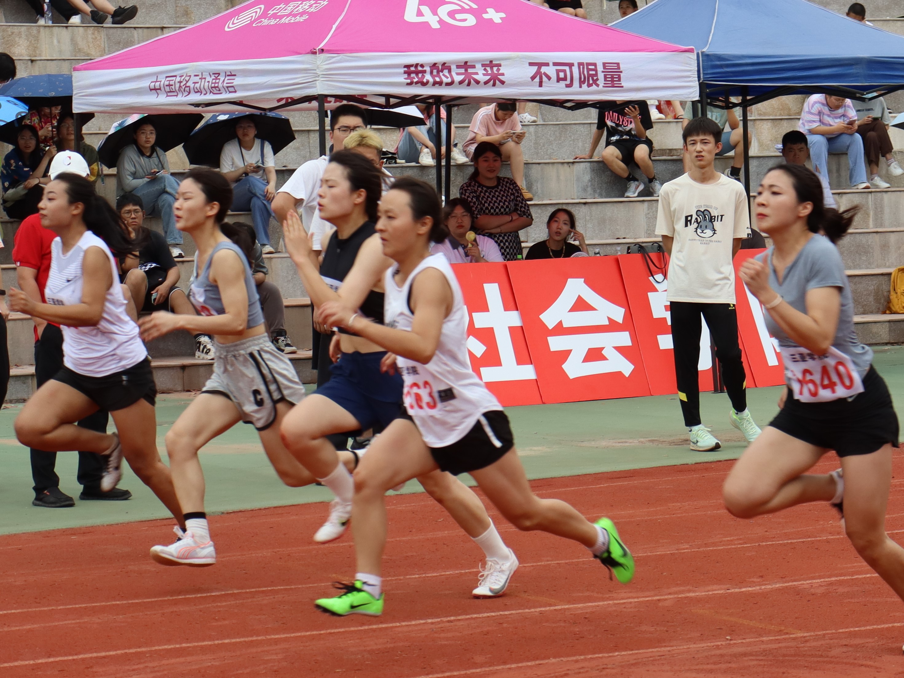 6438eae4876d0.JPG